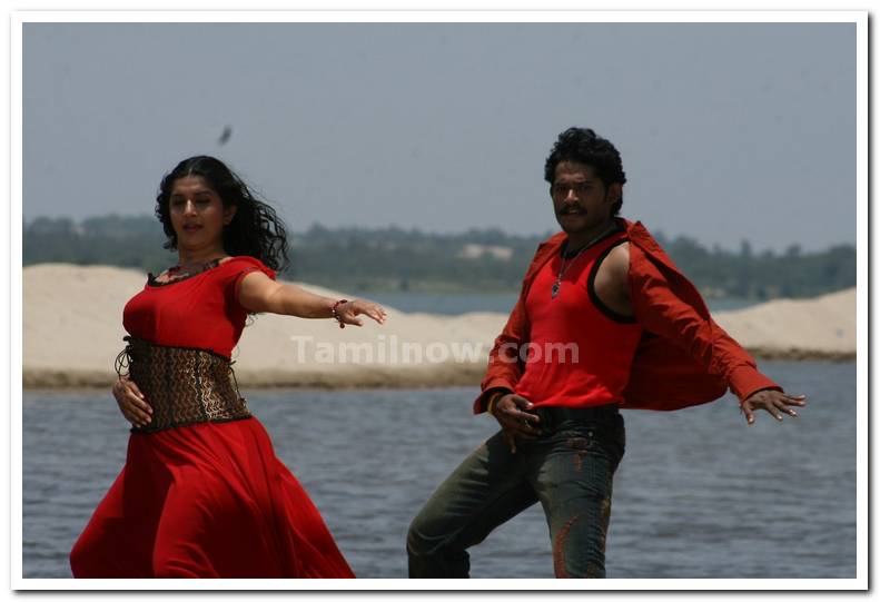 Aadi Narayana Film Stills 15