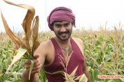 Aalamaram Stills 7020