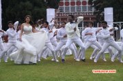 Photo Hansika Vishal Film Aambala 667