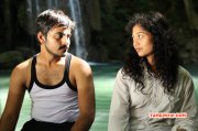 Recent Albums Aaranyam Tamil Film 9110
