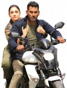 Vishal Tamannah In Action Movie Gallery 262