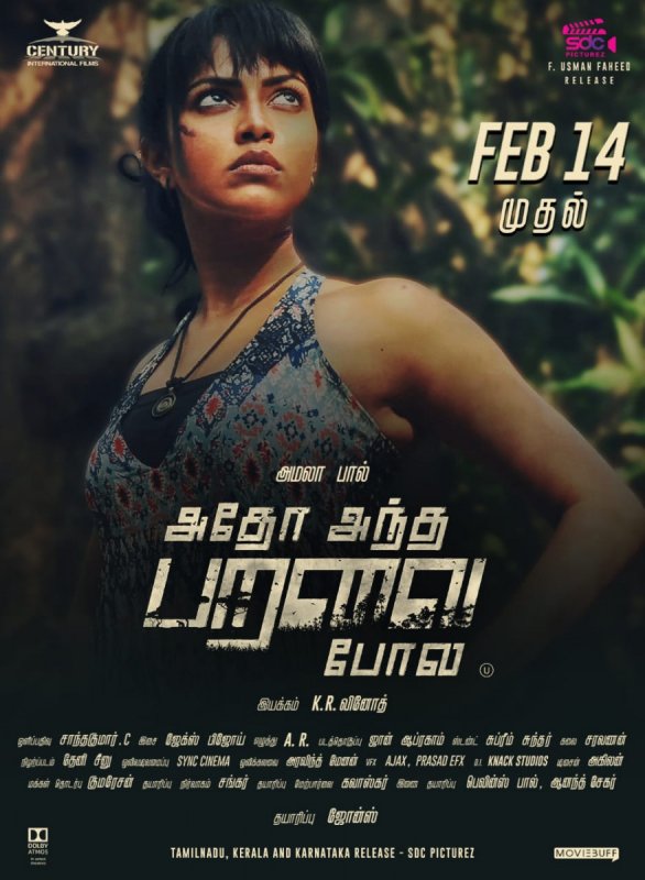 Adho Andha Paravai Pola From Feb 14 Amala Paul 722