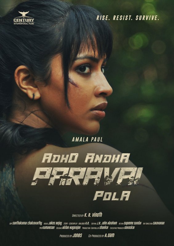Movie Adho Andha Paravai Pola Recent Wallpapers 9304