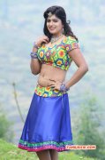 New Image Hot Naina Sarwar 599