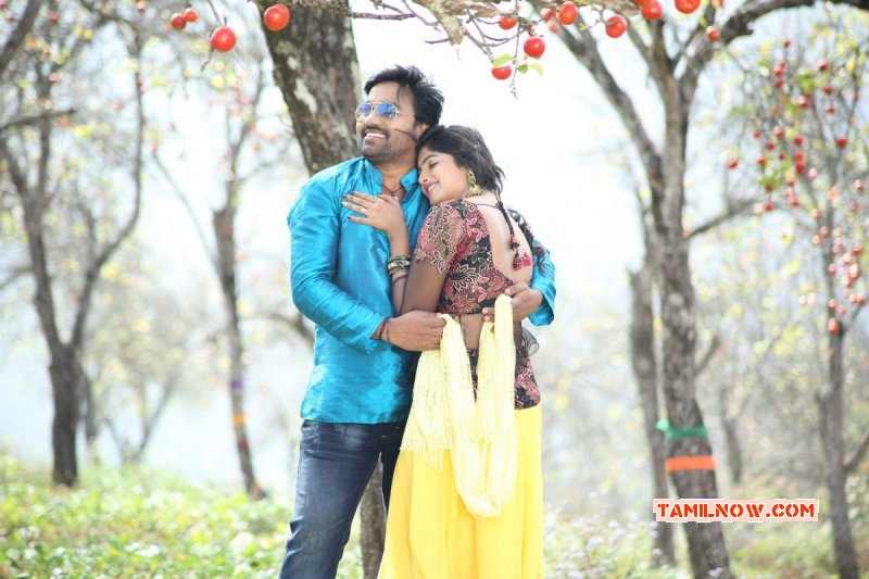 New Still Shiva Naina Sarwar 285