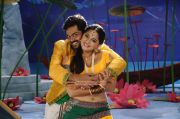 Karthi Anushka In Alex Pandian 696