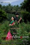 Tamil Movie Allinagaram 107
