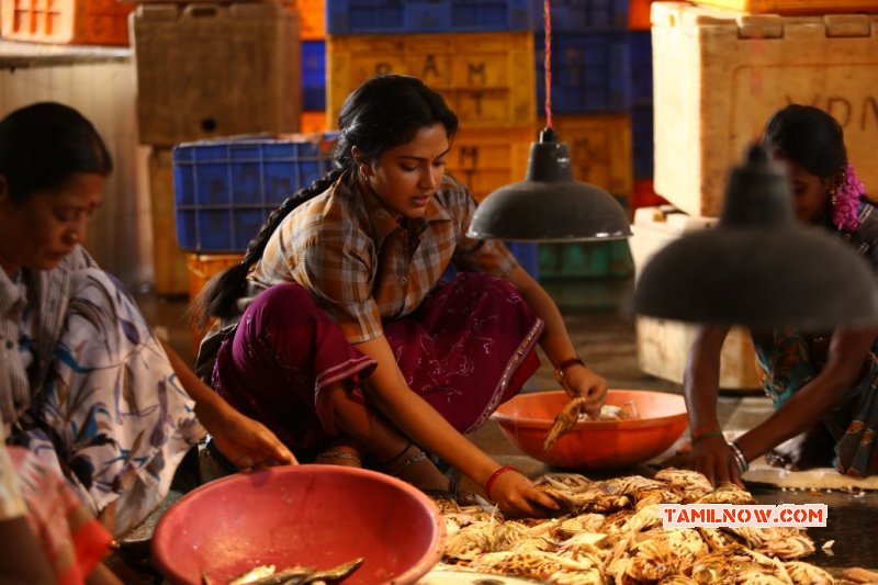 2016 Still Amma Kanakku Film 9954