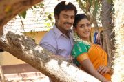 Tamil Movie Ammavin Kaippesi Stills 6639