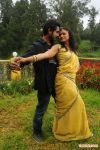 Angusam Stills 9600