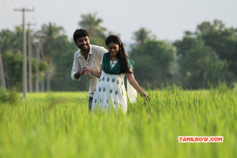 Latest Pic Vimal Nandita In Anjala 925