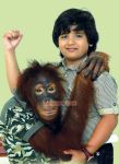 Appu And Pappu 9325