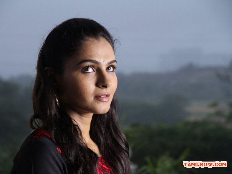 Actress Andrea Jeremiah In Movie Aranmanai 380