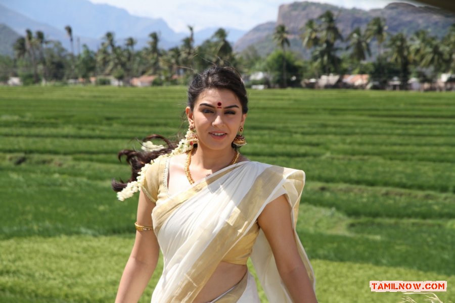 Hansika Motwani In Kerala Sari In Aranmanai 534