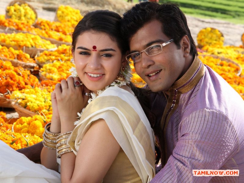 Hansika Motwani Vinay In Aranmanai 247