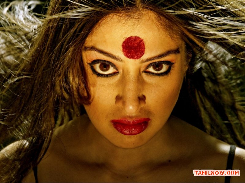 Raai Laxmi Aranmanai Still 969