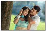 Mammootty And Sneha 4