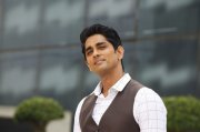 Gallery Siddharth In Aruvam 541