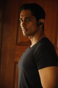 Siddharth In Aruvam Cinema Pic 501