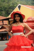 Movie New Photo Vidya In Adhibar 651