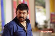 Movie New Pic Bhaskar Oru Rascal Arvind Swamy 707