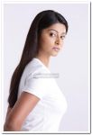 Sneha Stills 3