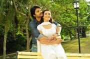 Chatriyavamsam Stills 9146