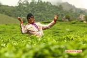 Vadivelu In Movie Eli Latest Pic 785