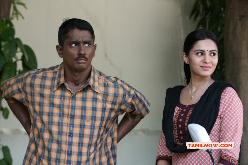 New Image Film Enakkul Oruvan 9550