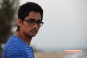 New Photo Siddharth In Enakkul Oruvan 195