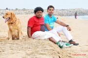 Tamil Movie Enga Kaatula Mazhai Photos 5160