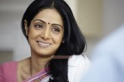 English Vinglish Photos 8878