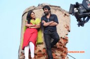 Recent Wallpapers Evanda Film 7655