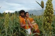 Movie Idhayam Thiraiarangam 4089