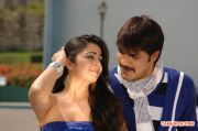 Tamil Movie Ini Oru Vidhi Seivom Photos 9185