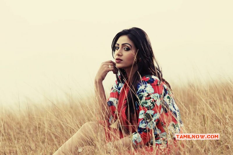 Ini Varum Naatkal Tamil Movie Feb 2015 Images 2378