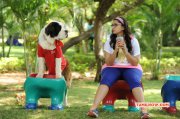 Movie Image Anushka In Inji Iduppazhagi 743