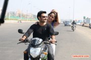Tamil Movie Inji Murappa Photos 7295