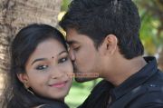 Tamil Movie Iru Killadigal Photos 5565