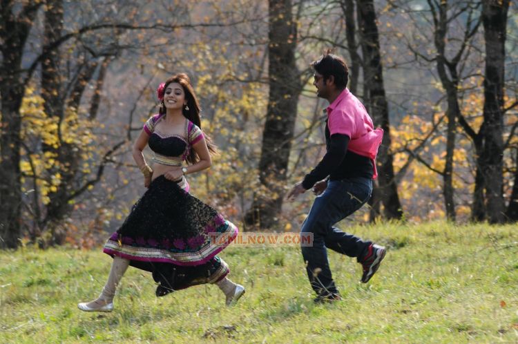 Vimal Nisha Agarwal In Ishtam Movie 922