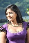 Tamil Movie Jakkamma 486