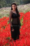 Kajal Agarwal New Still In Movie Jilla 6