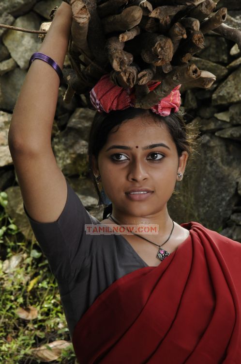 Tamil Movie Kaattu Malli 437