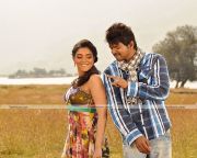 Vijay And Asin Pics 2