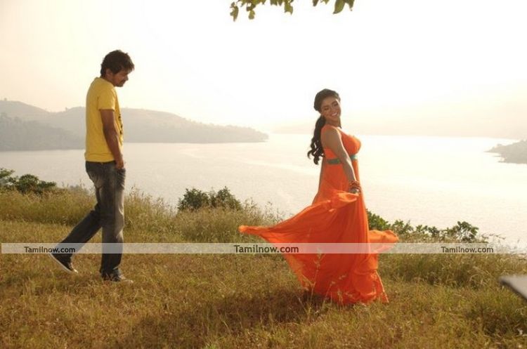 Vijay And Asin Pics 7