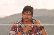 Vijay Pics 1