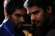 Tamil Movie Kabadam 7318