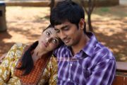 Movie Kadhalil Sodhappuvadhu Yeppadi 6615