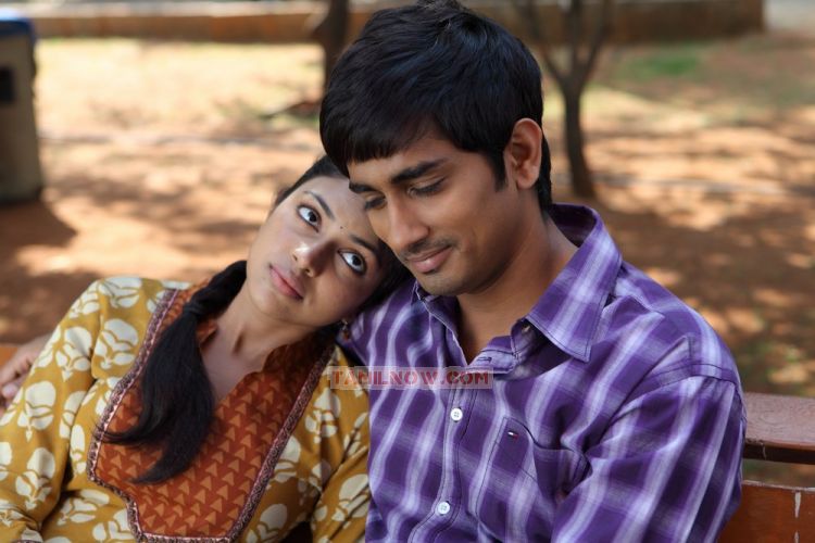 Movie Kadhalil Sodhappuvadhu Yeppadi 6615