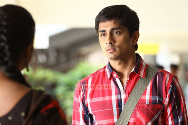 Siddharth In Adhalil Sodhappuvadhu Yeppadi 972